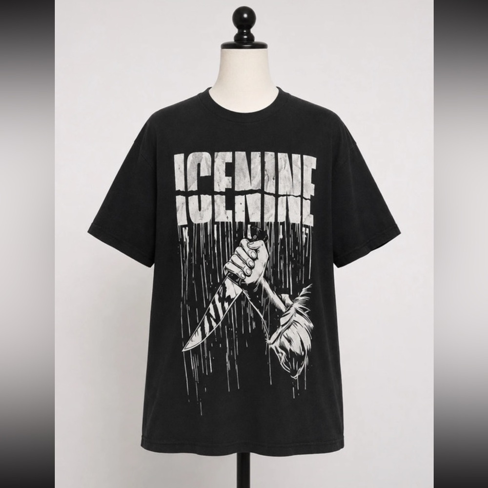 Ice Nine Kills "The Shower Scene"
Distressed Metalcore M